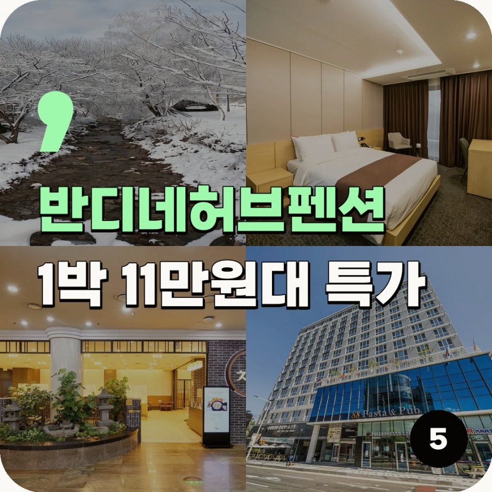 반디네허브 사진 1