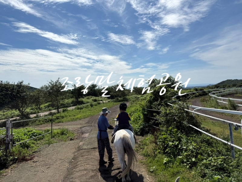 [제주/서귀포시] 제주 말타기 제주 말타기 체험 제주도 승마 제주도 아이랑 가볼만한곳 - 조....