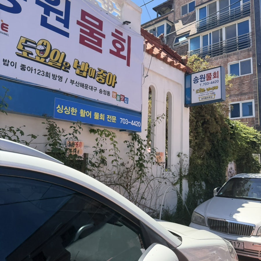 송원물회횟집 사진 2