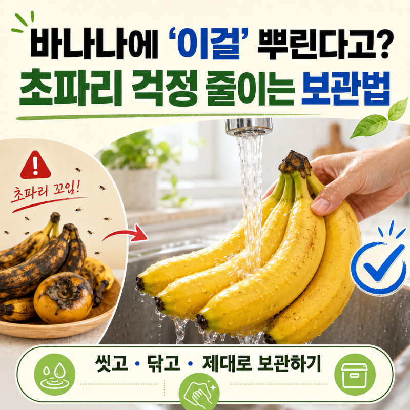 “바나나에 ‘이걸’ 뿌린다고?” 초파리 걱정 줄이는 보관법