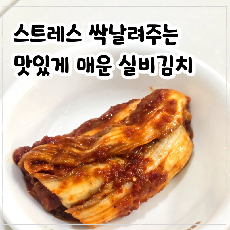 실비김치 추천, 스트레스 확날려주는 국산배추 매운김치