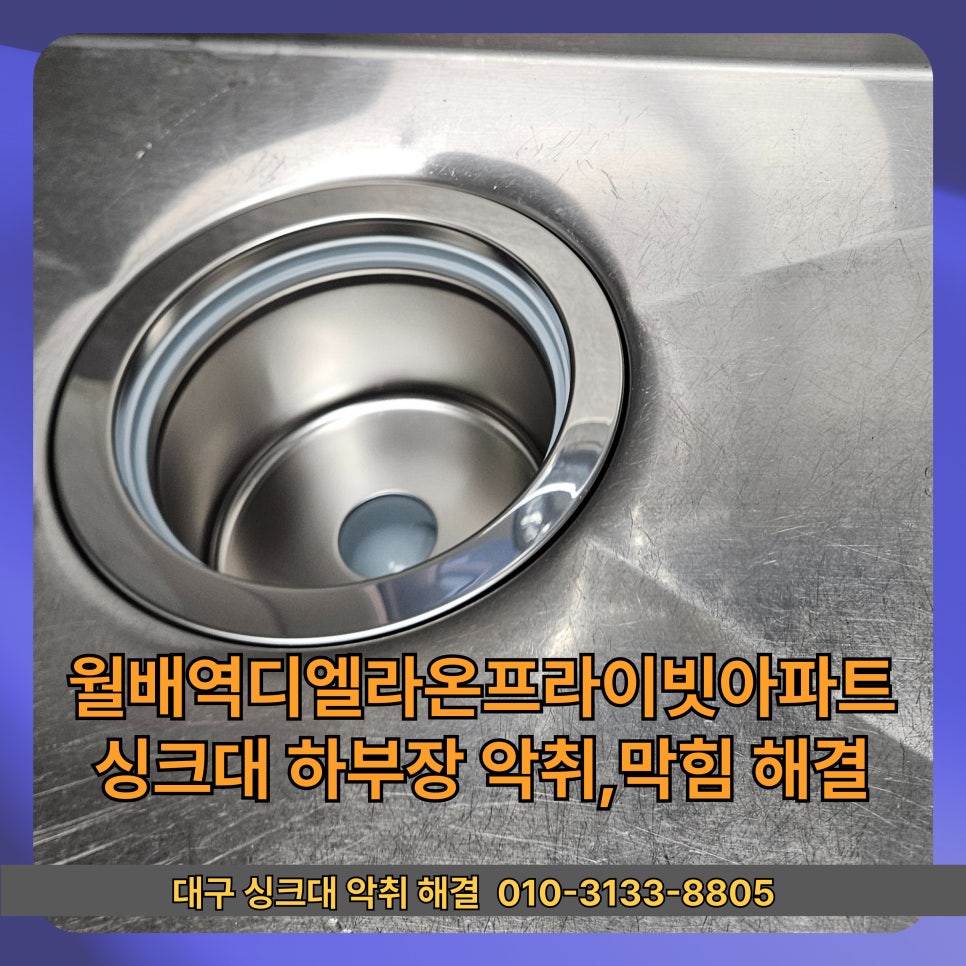 라온 사진 5