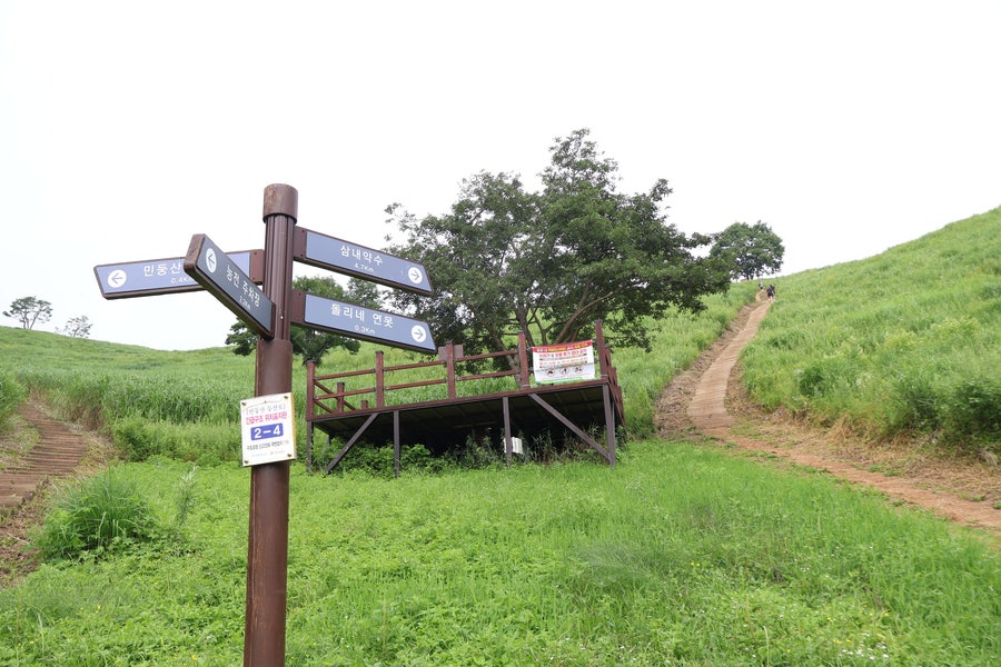 민둥산 사진 6