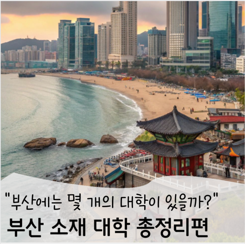 부산에 있는 대학교 리스트: 4년제·전문대 총정리