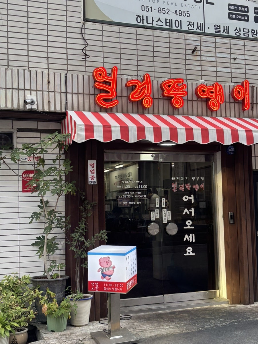 얼렁뚱땡이 사진 2