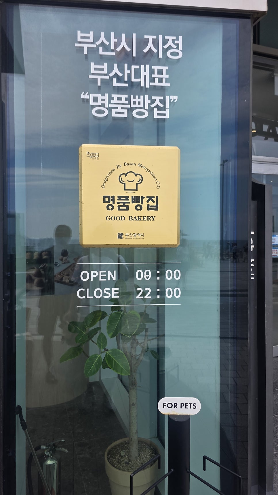 비엔씨제과 엘시티점 사진 2