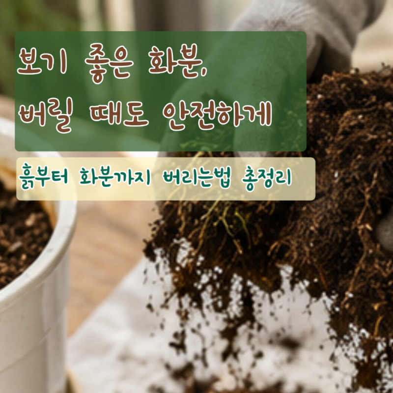 과태료 걱정없이 화분 버리는법 흙이랑 식물 버리기
