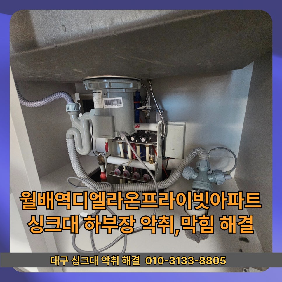라온 사진 2