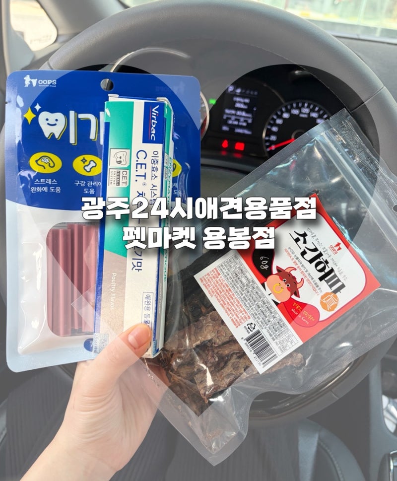 광주24시애견용품점 강아지분양 펫마켓 용봉점 구매후기