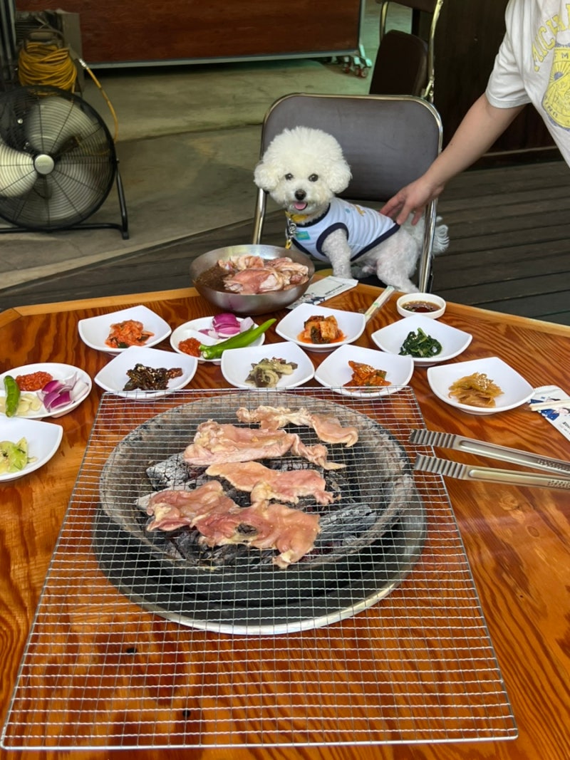 [경남 하동] 하동 계곡 맛집 동정산장식당｜애견동반 가능, 아이와 여름 물놀이까지!