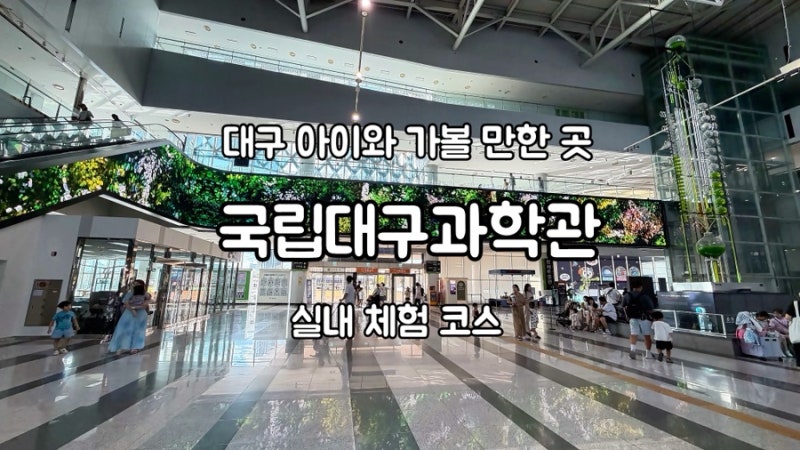 대구 아이와 가볼만한곳 국립대구과학관 상설전시관 1·2·3관 완벽 후기 (소요시간 팁)