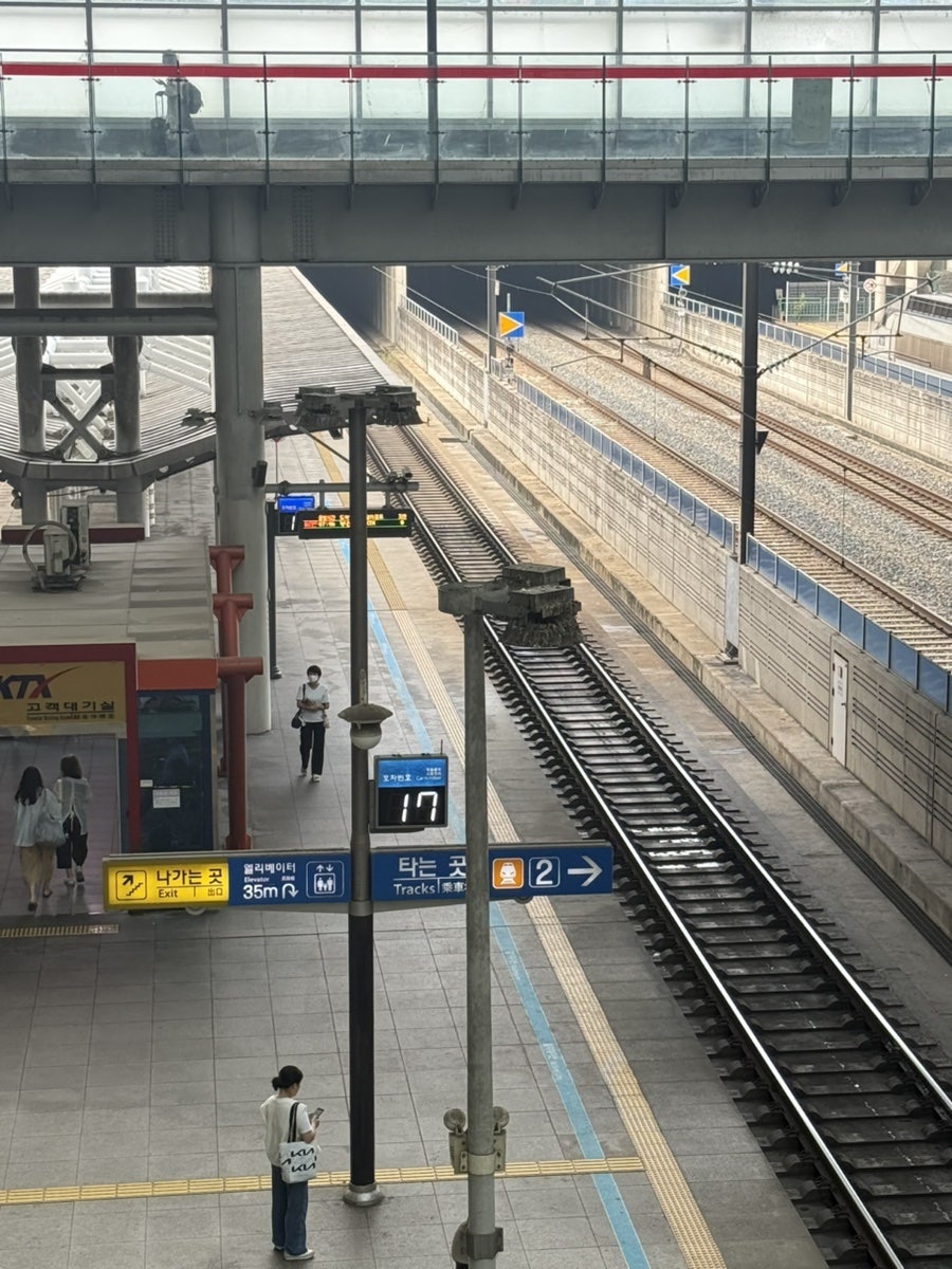 백년식당 사진 2