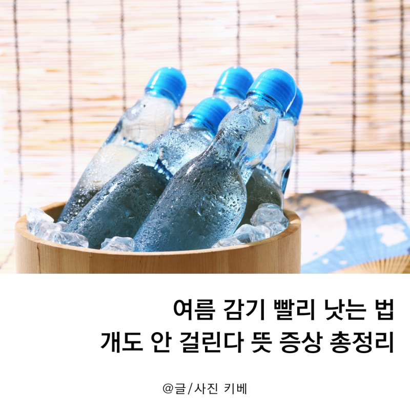 여름 감기 빨리 낫는 법 개도 안 걸린다 뜻 증상 총정리