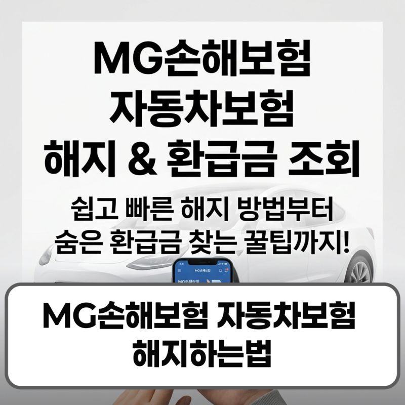 MG손해보험 자동차보험 해지하는법 환급금 조회 방법 정리