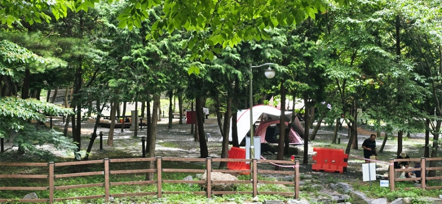 성주산자연휴양림 사진 4