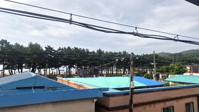 연포해수욕장 사진 4