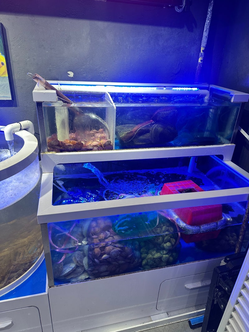 영등포역 생새우 대하구이 맛집 하와이조개 영등포점 다녀왔어요