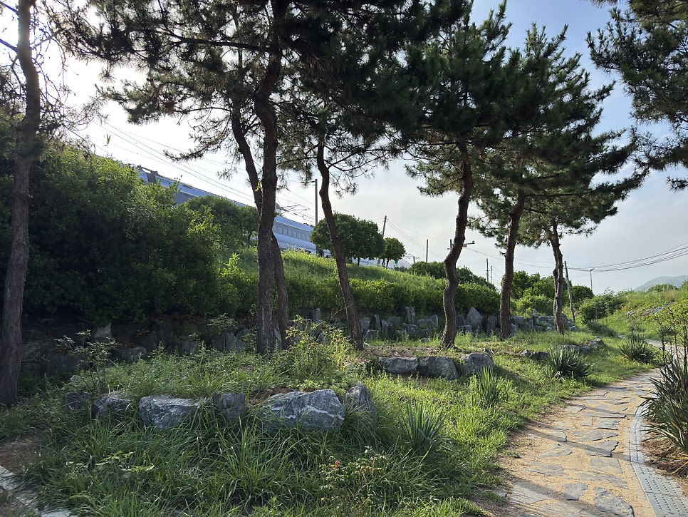 해파랑길 33코스 사진 6