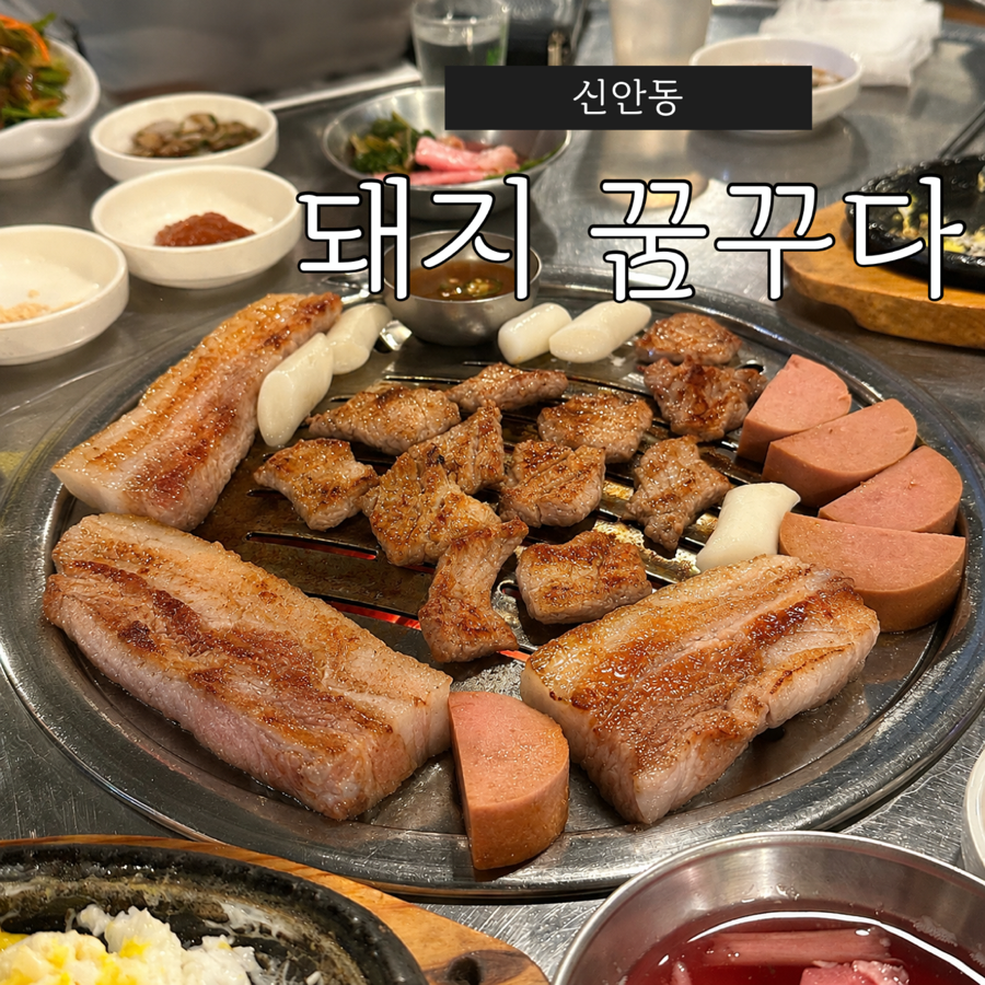 돼지꿈 사진 1
