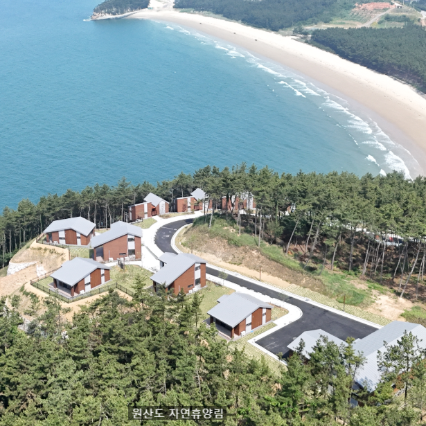원산도 자연휴양림 오션뷰 명당 위치 숲나들e 이용 꿀팁