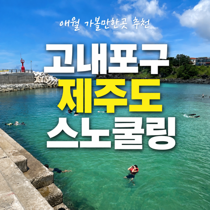 고내포구 애월 가볼만한곳 제주도 스노쿨링 명소 바다 여행
