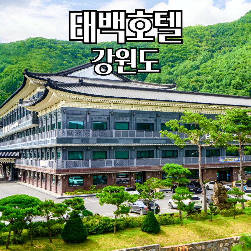 태백호텔 객실과 워터풀 조식, 태백산 가까운 가족숙소
