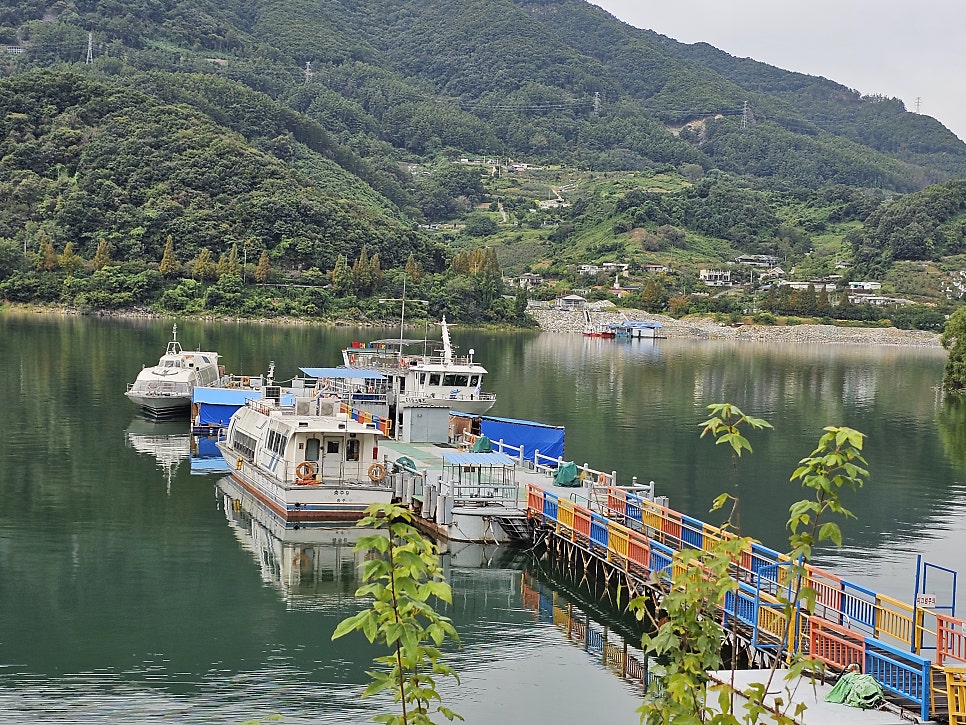 충주호 사진 1