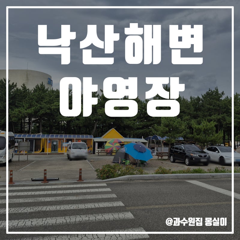 낙산 해변 야영장에서 하루 놀기