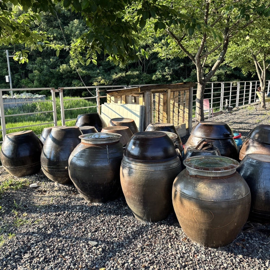 소이빈삼동 사진 2
