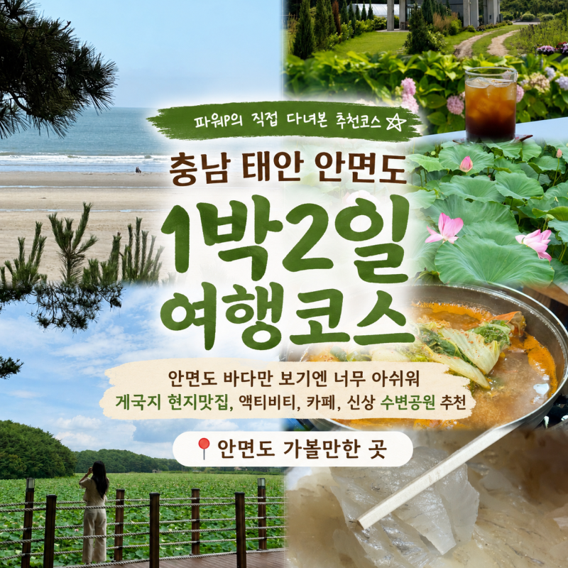 충남 태안 안면도 1박2일 여행코스 완벽 정리ㅣ게국지 현지인 맛집,연꽃 신상명소,오션뷰 숙....