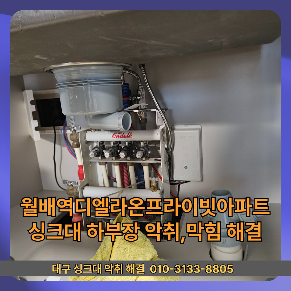 라온 사진 4
