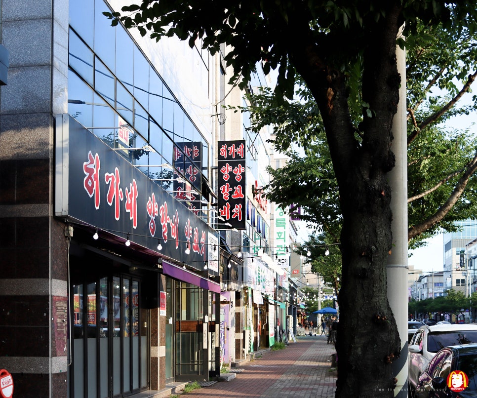 허가네양갈비양꼬치 문덕점 사진 4