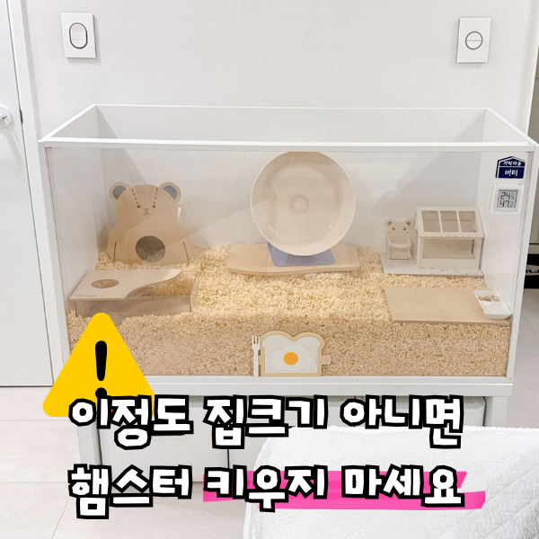 골든 햄스터 집 만들기, 톱밥 베딩 쳇바퀴 화장실 용품 총정리