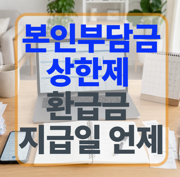 2026 본인부담상한제 환급금 지급일 언제? 안내문 안 와도 확인하는 법