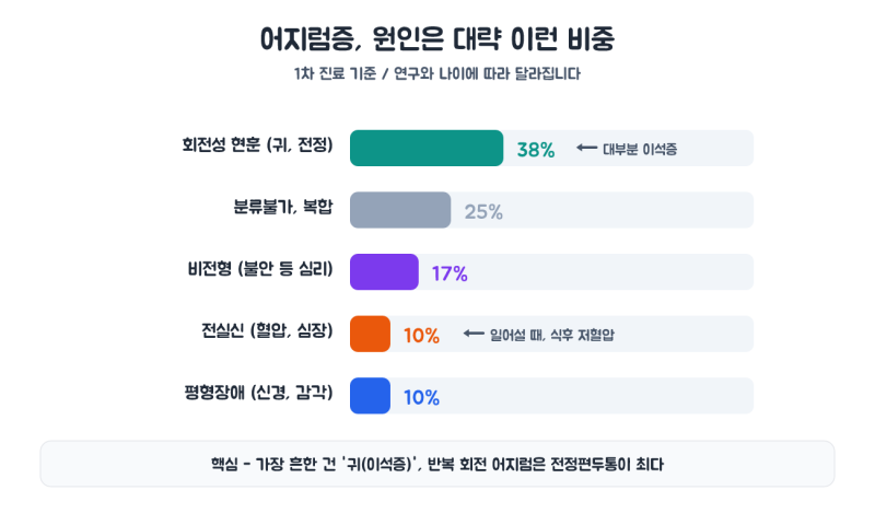 어지러운데 무슨 약 먹죠? — 약사가 정리한 어지럼증 약 이야기