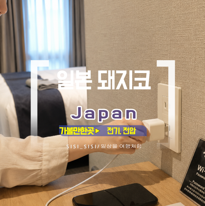 일본 여행 돼지코 필요할까, 110V 콘센트와 충전기 정리