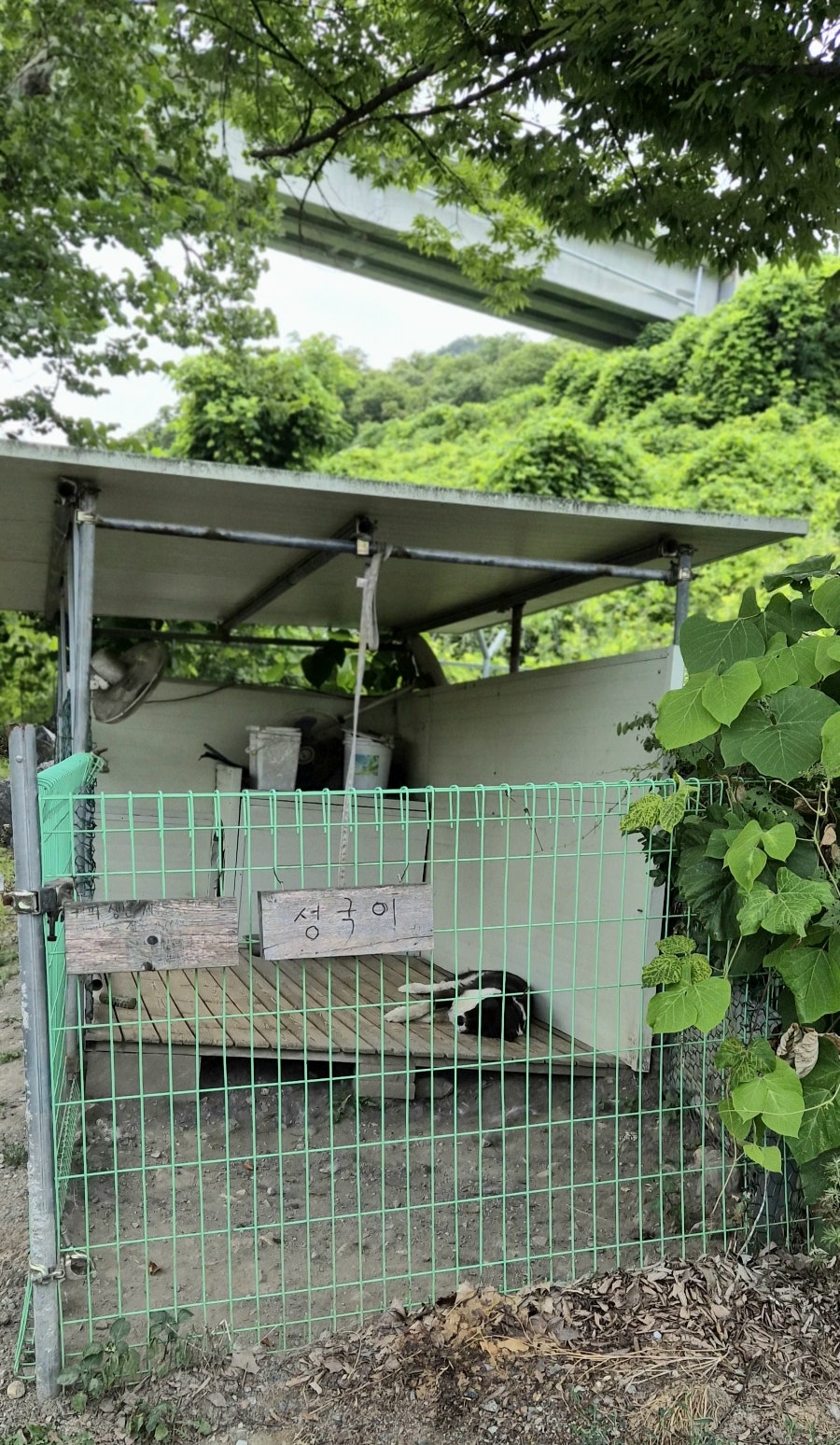 약수터집 사진 3