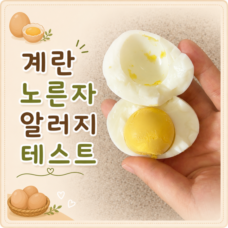 초기죽이유식 계란노른자 알러지테스트하기