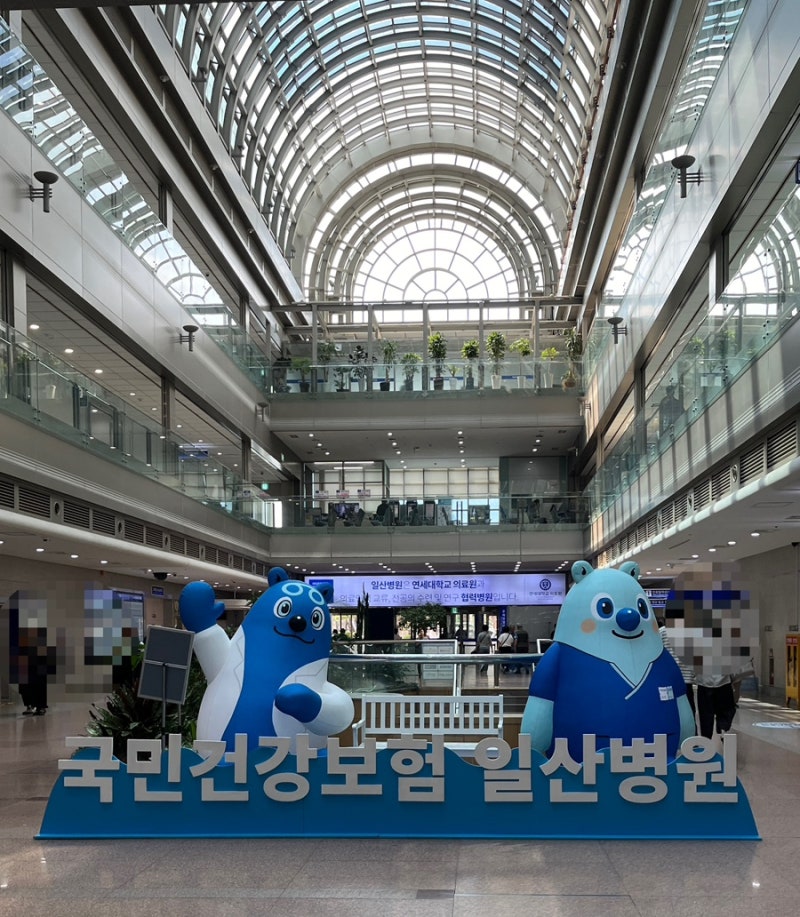 [임신 13주차] 일산병원 니프티검사 후기(나이스플러스) / 진료 예약, 비용, 결과 조회