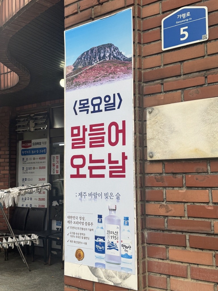 한라산조랑말 사진 3