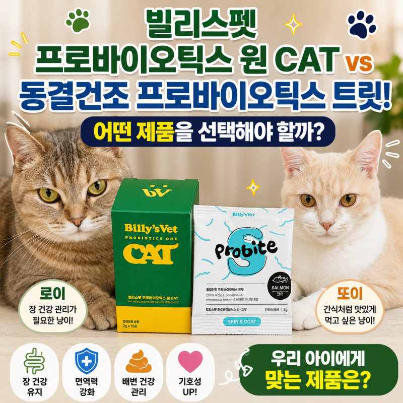빌리스펫 프로바이오틱스 원 CAT vs 동결건조 프로바이오틱스 트릿! 어떤 제품을 선택해야 할....