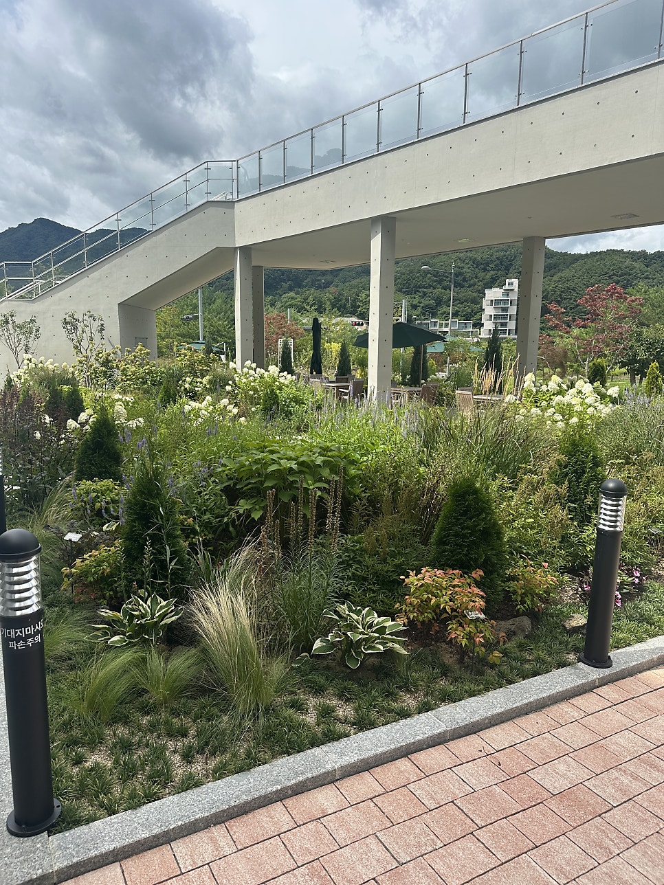 용산저수지 사진 2