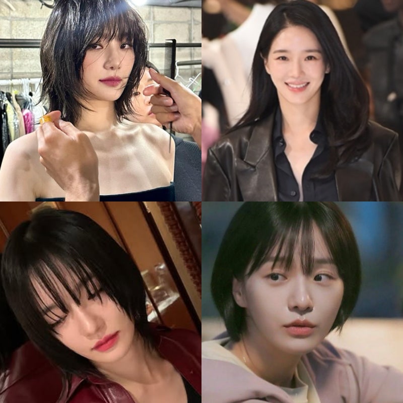 박규영이 다 해본 2026 유행 헤어스타일 3가지! 단발 숏컷 레이어드컷