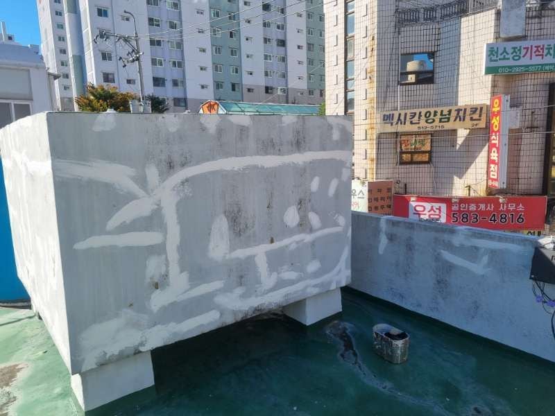 노아 사진 4