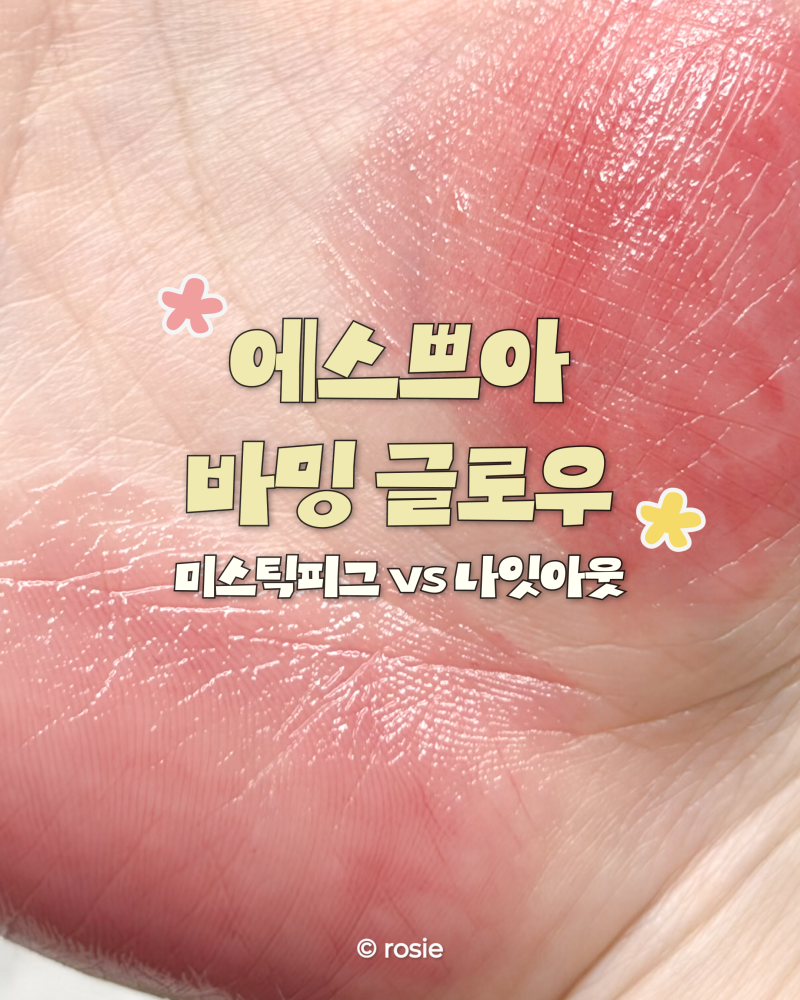 에스쁘아 노웨어 립스틱 바밍 글로우 후기｜미스틱 피그·나잇 아웃 발색 비교