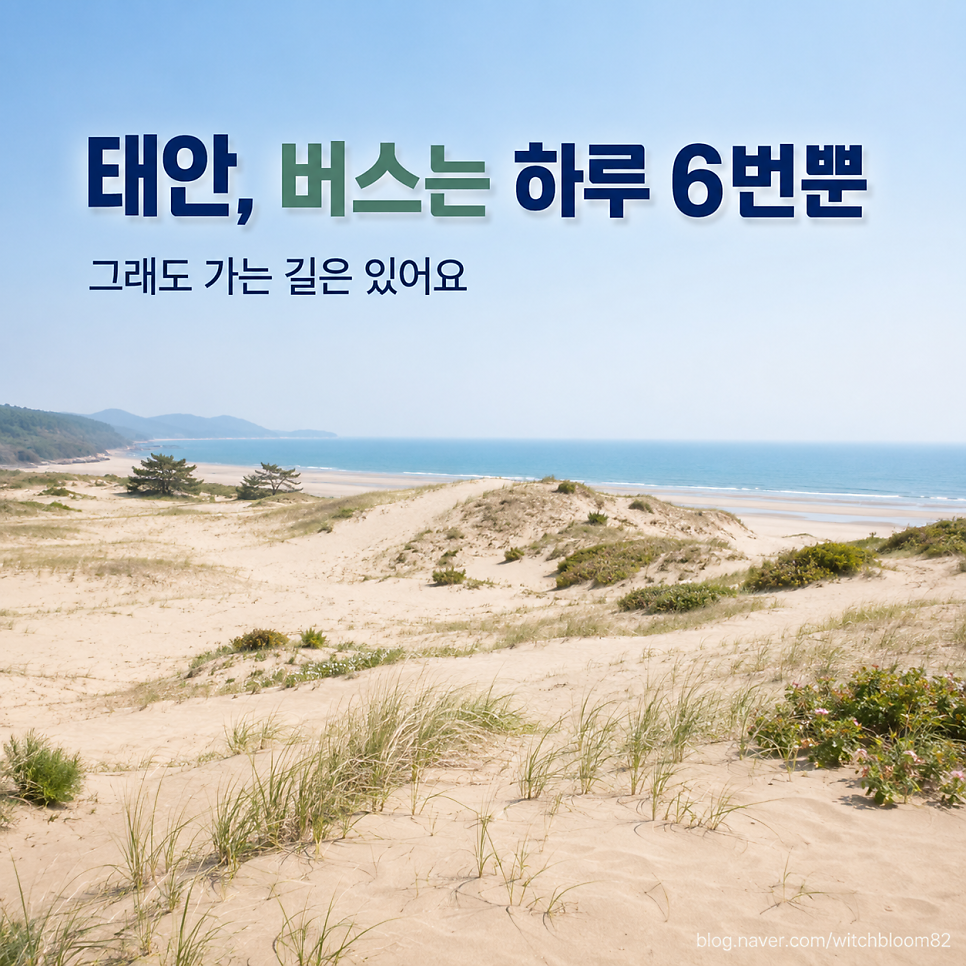 천리포수목원 사진 1