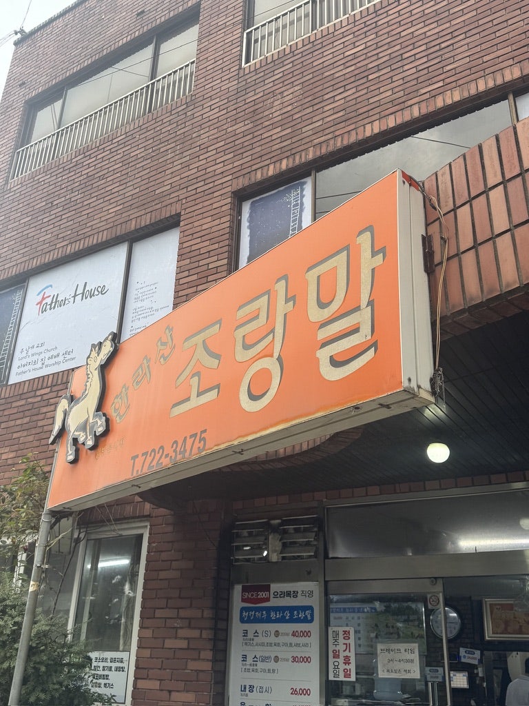 한라산조랑말 사진 2