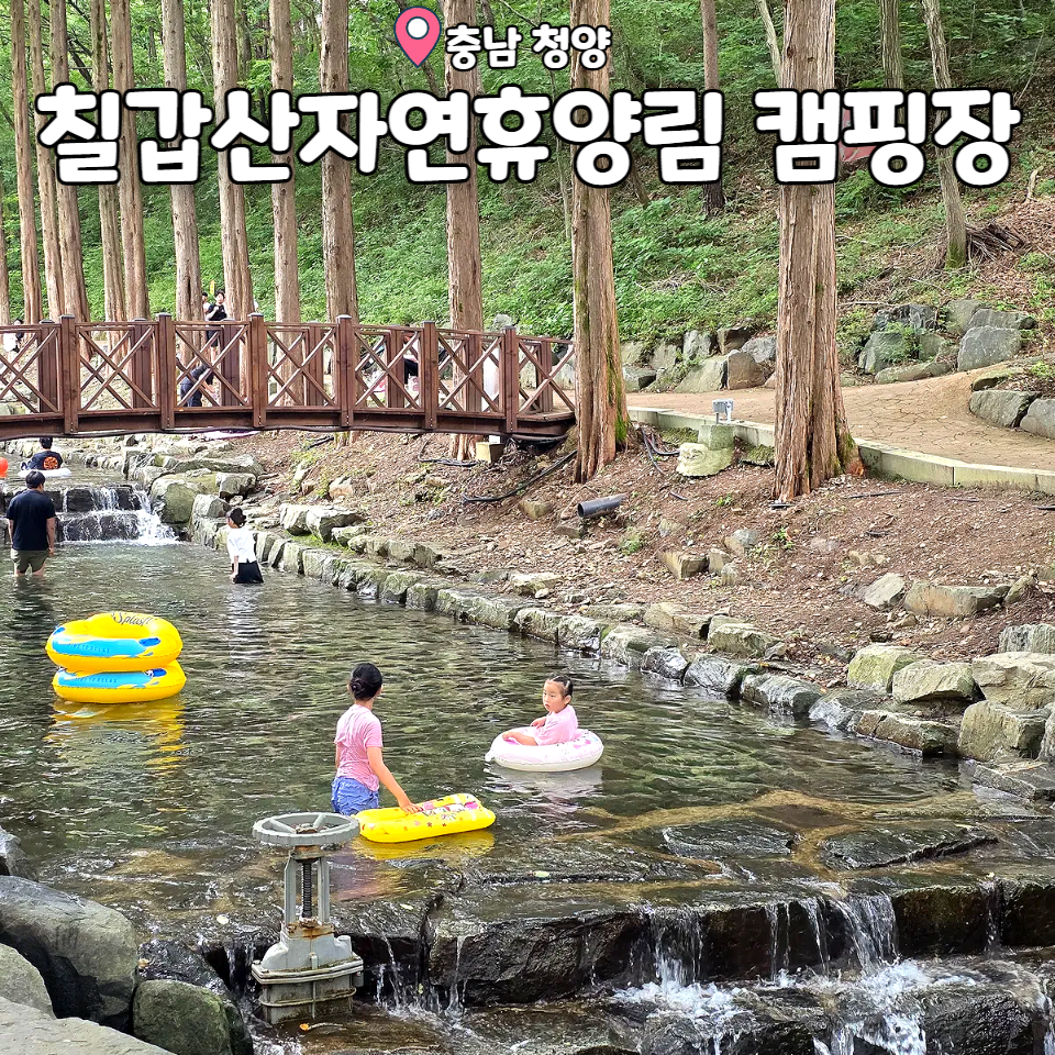 칠갑산자연휴양림 야영장 사진 1