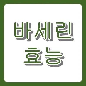 바세린 효능 얼굴에 발라도 될까? 로션·립밤·스틱까지 총정리 (피부 건조 해결법)