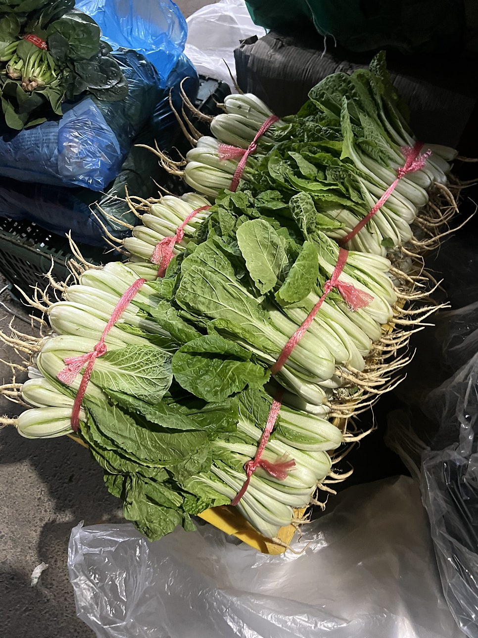 진주식당 사진 6